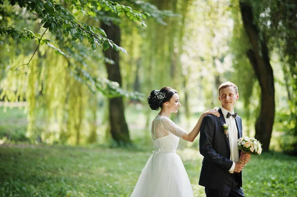 素晴らしい結婚式のカップルのポーズと美しい夏の日の公園でハグ — ストック写真