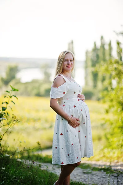 Blonde pregnant mother in meadow field. Happy moments of pregnancy.