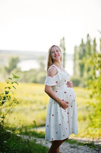 Blonde Zwangere Moeder Weide Veld Gelukkige Momenten Van Zwangerschap — Stockfoto