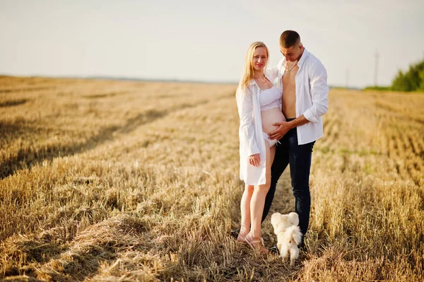 Pregnant Couple Wreath Field White Underwear Clothes Sunset Dog Happy — Stock Photo, Image