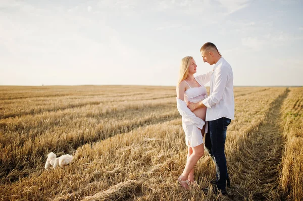 Pregnant Couple Wreath Field White Underwear Clothes Sunset Dog Happy — Stock Photo, Image
