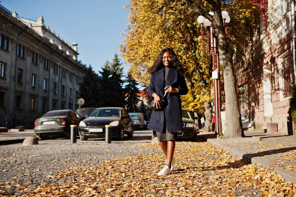 Élégante Fille Afro Américaine Manteau Bleu Posé Journée Ensoleillée Automne — Photo