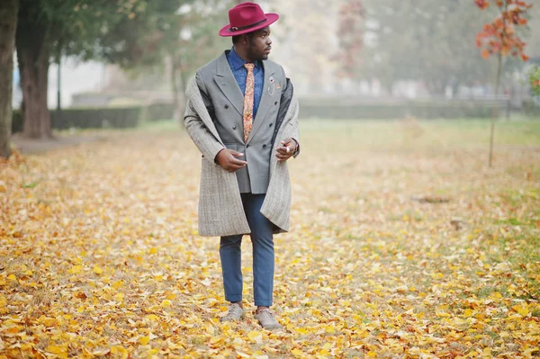灰色でスタイリッシュなアフリカ系アメリカ人モデルのコート ジャケット ネクタイと赤い帽子の霧の秋のストリートで提起されました — ストック写真