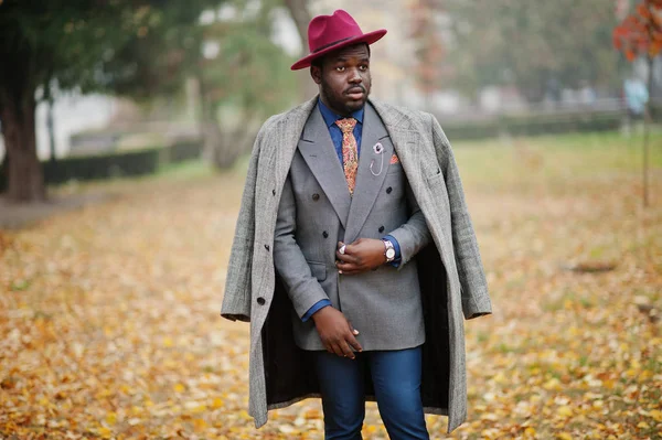 灰色でスタイリッシュなアフリカ系アメリカ人モデルのコート ジャケット ネクタイと赤い帽子の霧の秋のストリートで提起されました — ストック写真