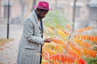 Şık Afro-Amerikan man modeli gri ceket, ceket kravat ve sarı yapraklar sonbaharda ruh karşı kırmızı şapka.