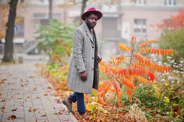 Elegante Modelo Hombre Afroamericano Abrigo Gris Corbata Chaqueta Sombrero Rojo — Foto de Stock