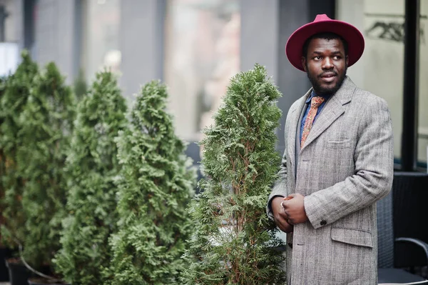 Szürke Kabát Kabát Nyakkendő Red Hat Stílusos Afrikai Amerikai Férfi — Stock Fotó