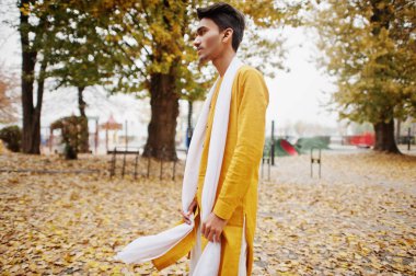 Şık Hintli yeallow geleneksel giysileri beyaz kaşkollu ile Sonbahar ruh karşı açık poz verdi.