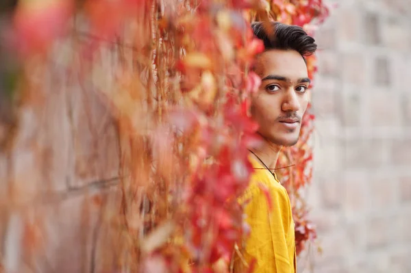 印度时尚的人在黄色的传统衣服摆在室外对红色叶子墙 — 图库照片