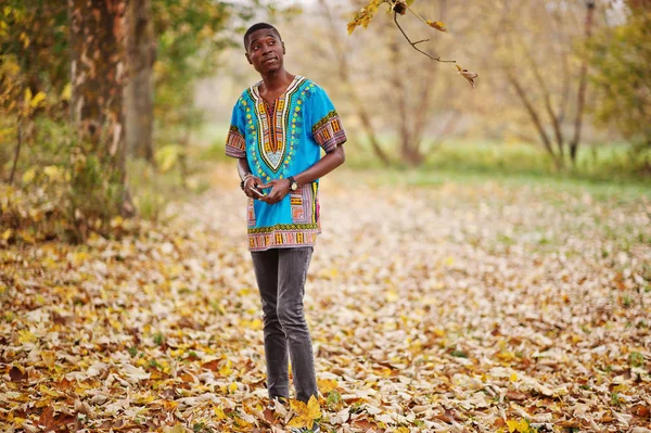 African man in africa traditional shirt on autumn park.