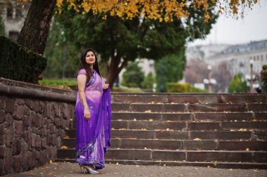 Geleneksel violet saree Hint hindu kıza sonbahar sokak poz verdi..