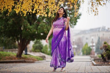 Geleneksel violet saree Hint hindu kıza sonbahar sokak poz verdi..