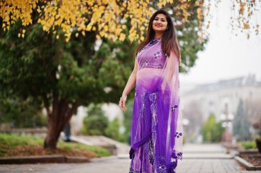 Geleneksel violet saree Hint hindu kıza sonbahar sokak poz verdi..