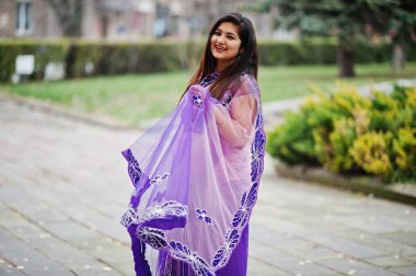 Geleneksel violet saree Hint hindu kıza sonbahar sokak poz verdi..