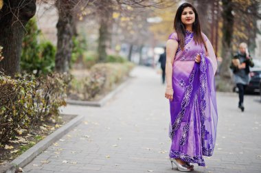 Geleneksel violet saree Hint hindu kıza sonbahar sokak poz verdi..