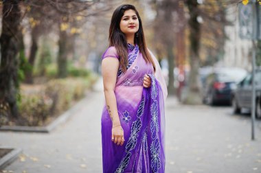 Geleneksel violet saree Hint hindu kıza sonbahar sokak poz verdi..