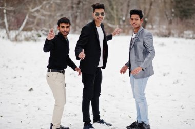 Hint mans üç sıradan genç grup ve dans eğlenceli sahip kış gününde poz verdi..