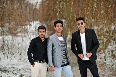 Hint mans üç sıradan genç grup kış gününde poz verdi..
