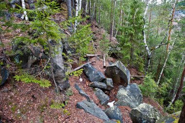 Karpat Dağları'nda ıslak orman taşlara büyük taşlar.