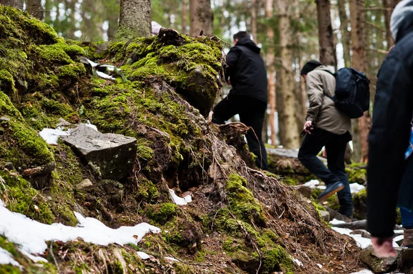 Turistas Caminando Sendero Del Bosque Nevado Las Montañas Cárpatas — Foto de Stock