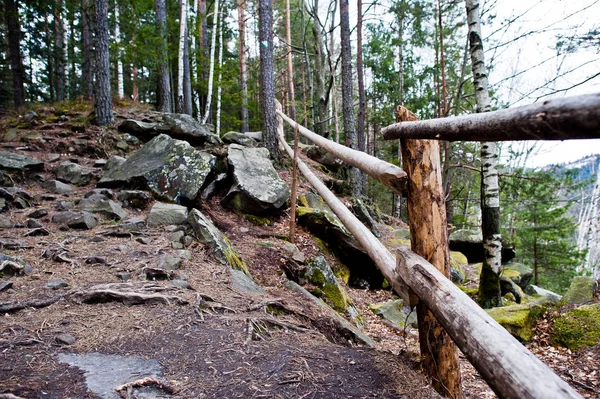 在喀尔巴泰山区潮湿的森林里 有木栅栏的大石头 — 图库照片