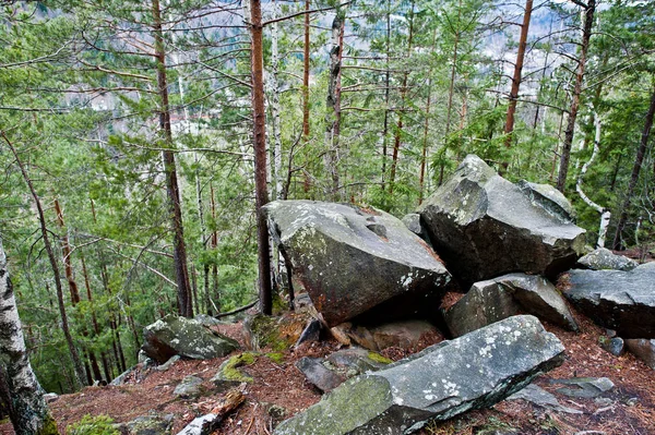 Grandes Piedras Rocas Bosque Húmedo Las Montañas Cárpatos — Foto de Stock