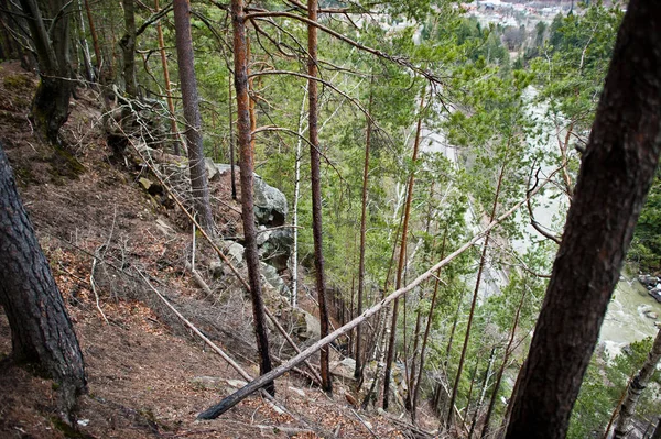 喀尔巴泰山脉绿色森林中的岩石悬崖 — 图库照片