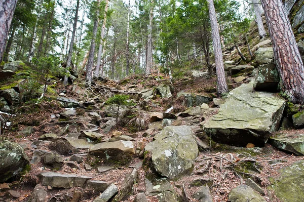 Dovbush Rocas Bosque Verde Las Montañas Los Cárpatos — Foto de Stock