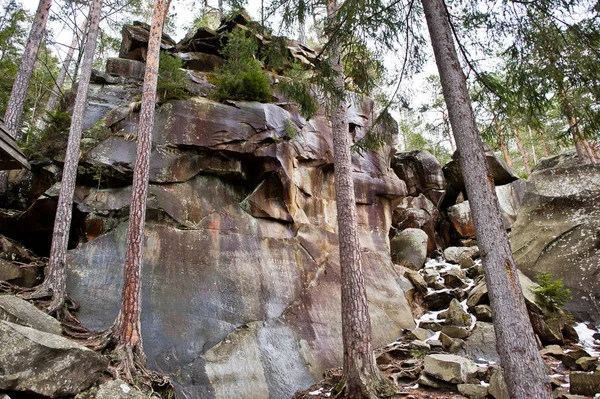 喀尔巴泰山脉绿色森林中的鸽子石 — 图库照片