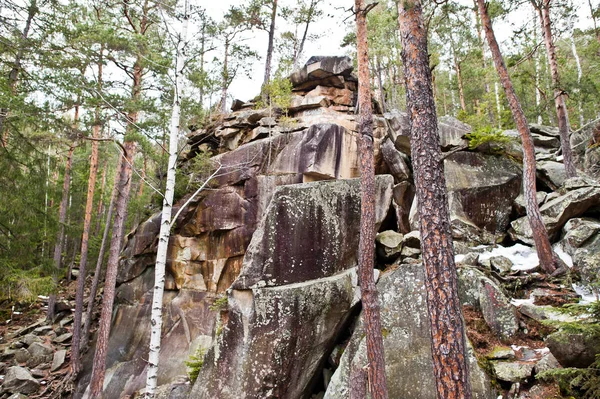 Dovbush Rocas Bosque Verde Las Montañas Los Cárpatos —  Fotos de Stock