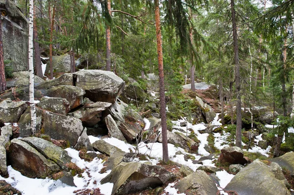 Dovbush Rocas Bosque Verde Las Montañas Los Cárpatos — Foto de Stock