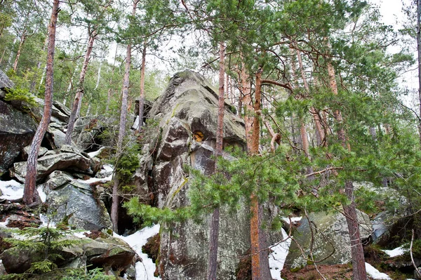 喀尔巴泰山脉绿色森林中的鸽子石 — 图库照片