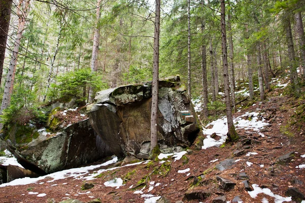 Dovbush Rocas Bosque Verde Las Montañas Los Cárpatos — Foto de Stock