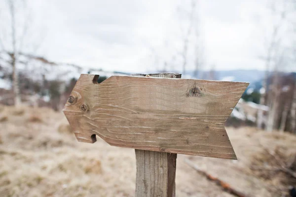 Dřevěná Šipka Zeleném Lese Karpatském Lese — Stock fotografie