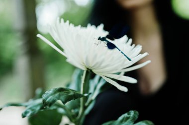 Yandan kadının siyah beyaz kasımpatı çiçeği, mavi yusufçuk.