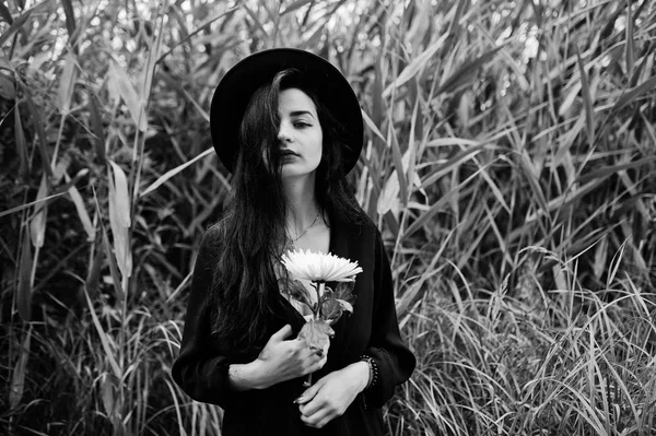 Sensual girl all in black, red lips and hat. Goth dramatic woman on common reed hold white chrysanthemum flower. Black and white portrait.