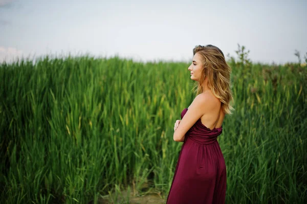 Mujer sensual rubia en vestido de marsala rojo posando en las cañas . —  Fotos de Stock