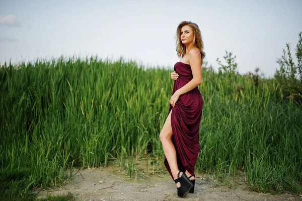 금발의 관능적 인 여자 에 빨간 마르살라 드레스 포즈 에 이 갈대. — 스톡 사진