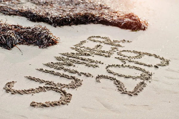 Napis lato 2019 i glony na piasku na plaży. — Zdjęcie stockowe
