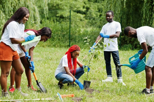 उद्यानात वृक्ष लागवड करणार्या आनंदी आफ्रिकन स्वयंसेवकांचा गट. आफ्रिका — स्टॉक फोटो, इमेज
