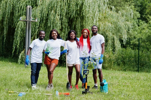 Skupina šťastných afrických dobrovolníků výsadní strom v parku. Africe — Stock fotografie
