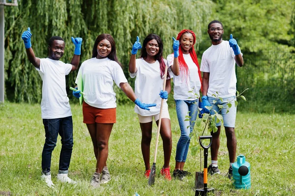 Skupina šťastných afrických dobrovolníků výsadní strom v parku. Africe — Stock fotografie