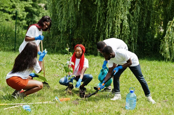 Grupo de voluntarios africanos felices plantando árboles en el parque. África — Foto de Stock