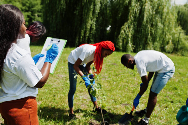 Группа счастливых африканских добровольцев сажает дерево в парке. Африка
 