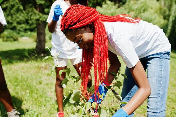 Kelompok relawan afrika bahagia menanam pohon di taman. Afrika — Stok Foto