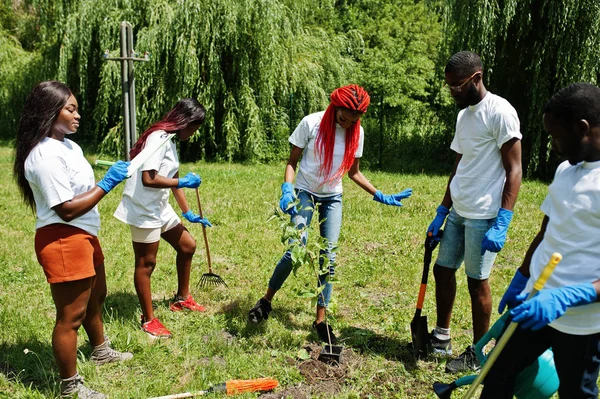 Kelompok relawan afrika bahagia menanam pohon di taman. Afrika — Stok Foto