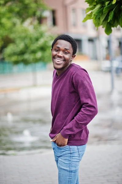 Junger afrikanisch-amerikanischer Mann in violettem Pullover posierte gegen Brunnen — Stockfoto