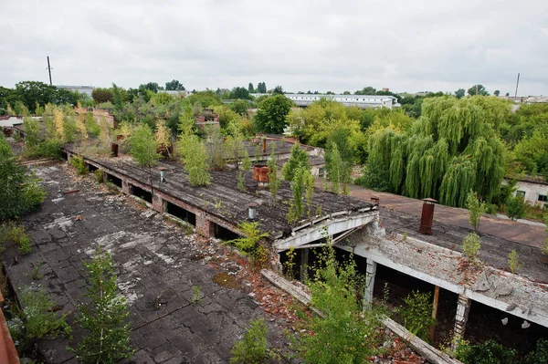 屋根の古い放棄された工場のインダストリアの外観. — ストック写真