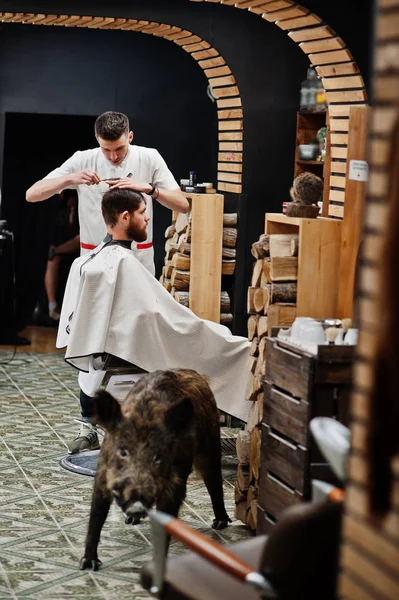 Young bearded man getting haircut by hairdresser while sitting i