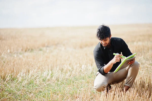 Sul asiático agrônomo agricultor inspecionando fazenda campo de trigo. Agric. — Fotografia de Stock